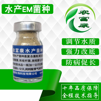 農富康水產EM菌在養(yǎng)蝦上的作用及用量詳解